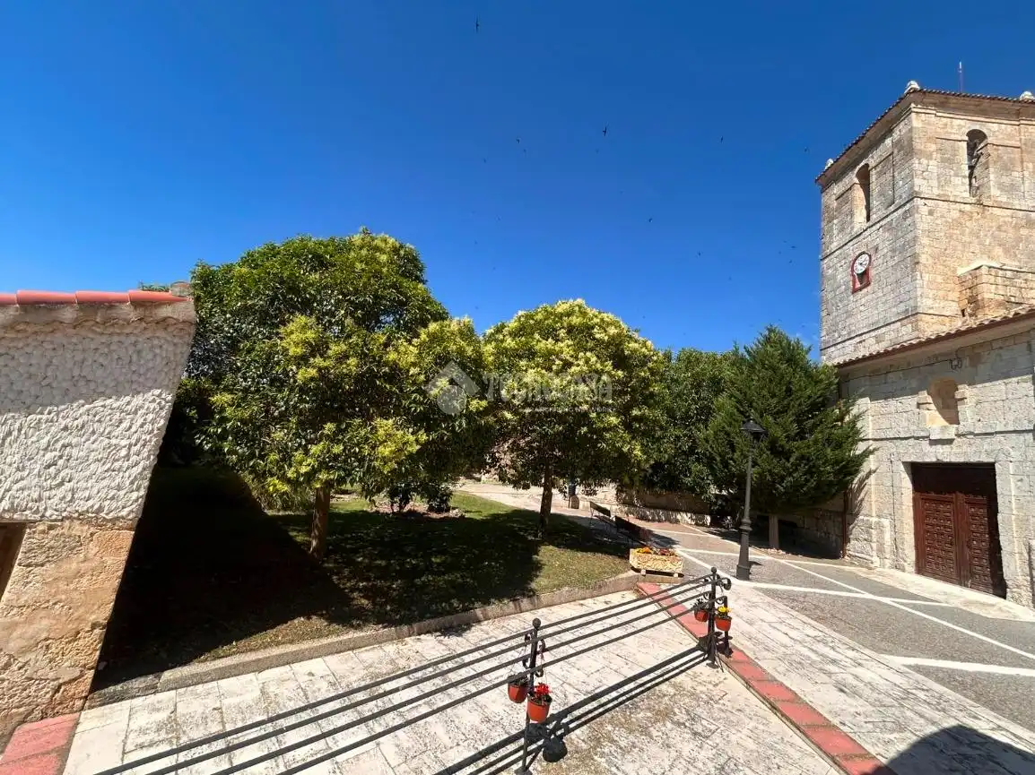 Vista exterior de Finca rústica en venta en Alba de Cerrato con Balcón