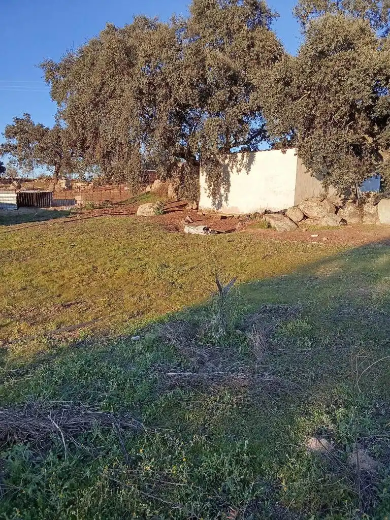 Terreni e lotti in vendita a Burguillos del Cerro, imagen 31