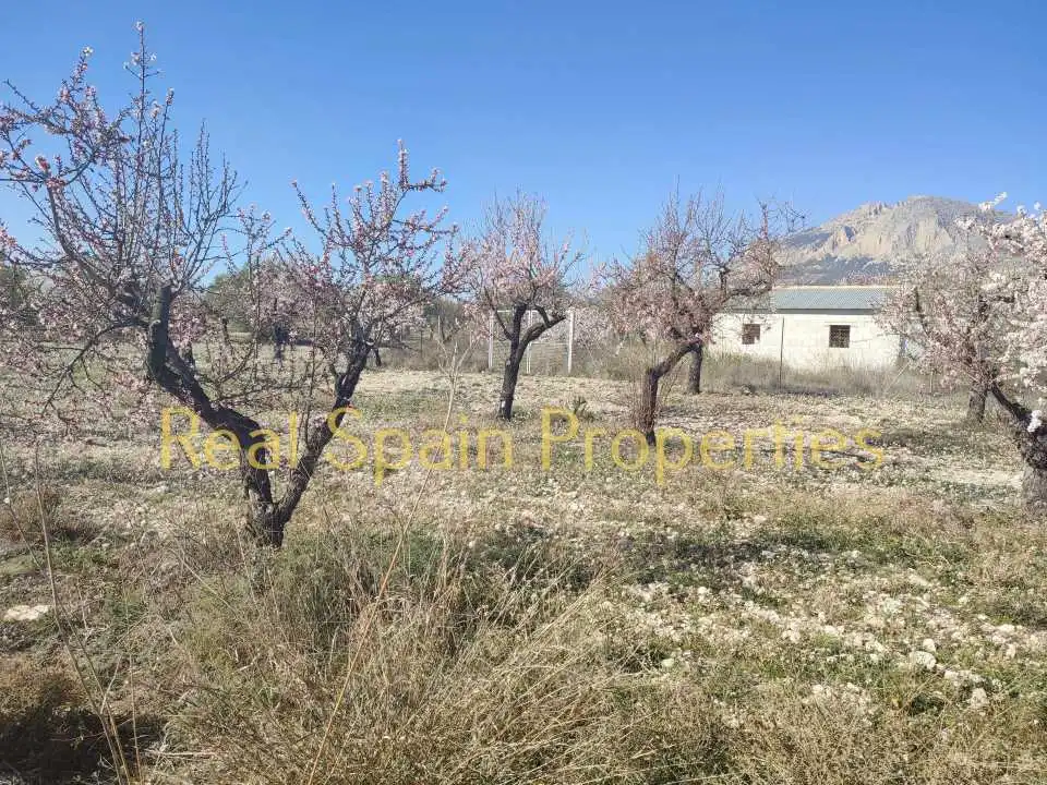 Terrenos y solares en venta en Vélez-Blanco, imagen 5