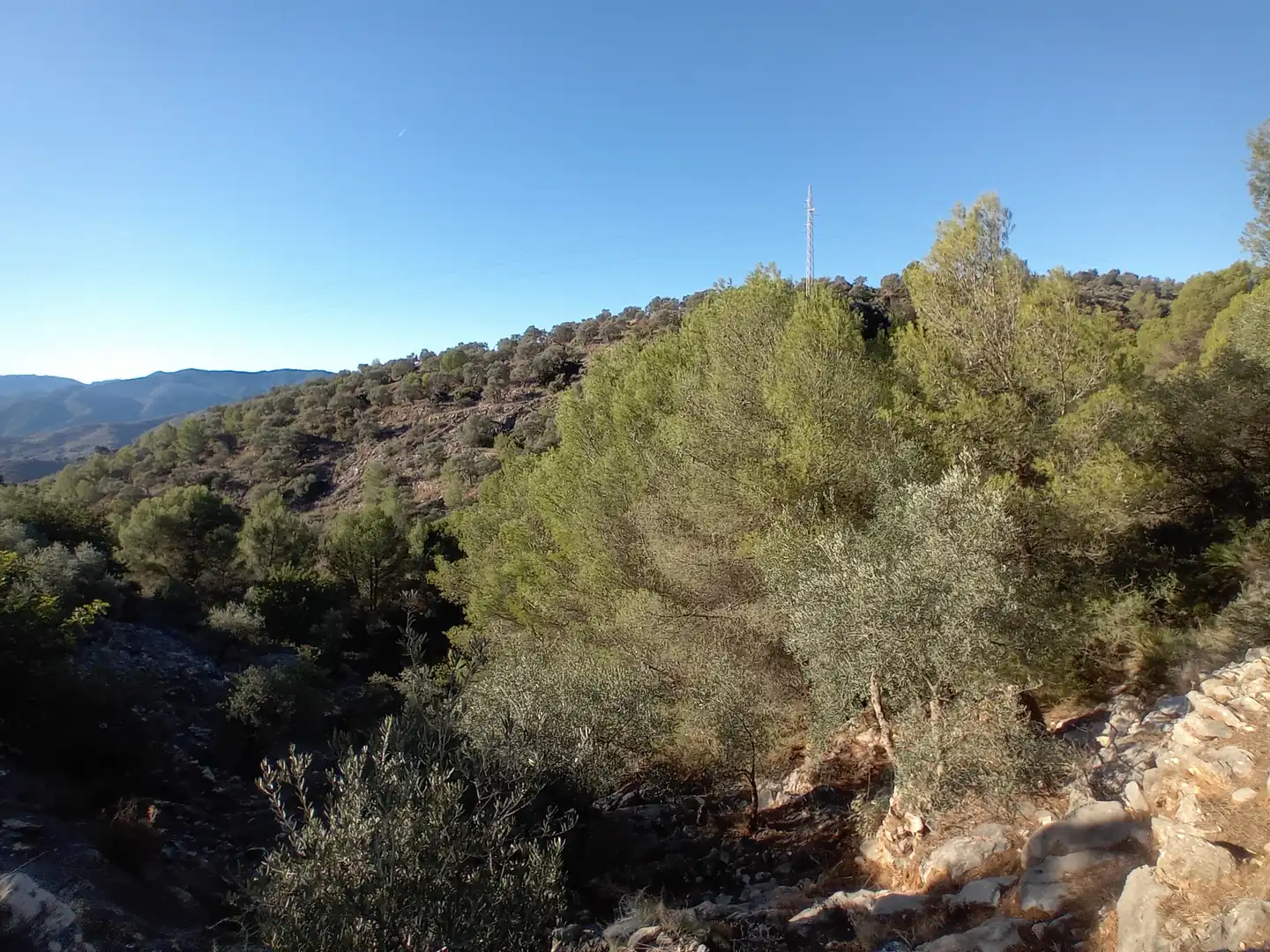 Rural land for sale in Yunquera, imagen 7
