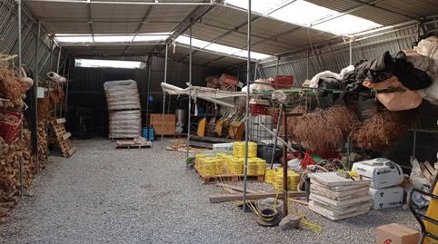 FINCA RUSTICA 18HA, immagine 3