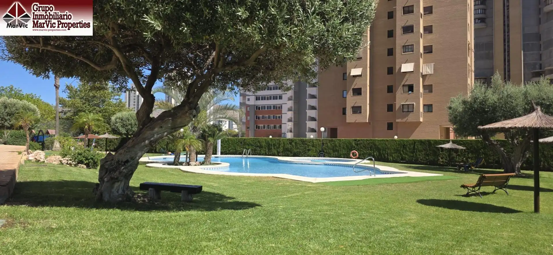 Swimming pool of Flat for sale in Benidorm  with Terrace and Community pool