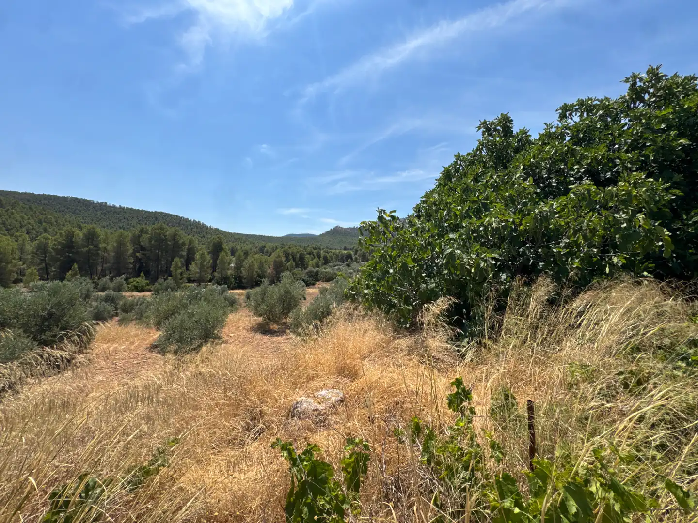 Rural land for sale in N/A, imagen 37