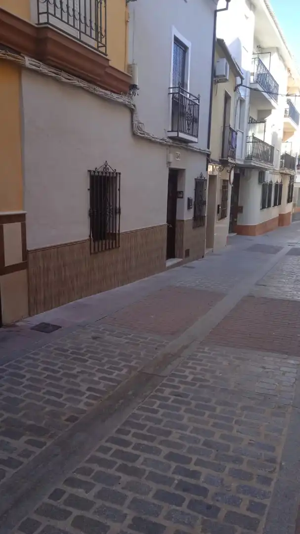 House for sale in Calle Condesa Carmen Pizarro, imagen 8
