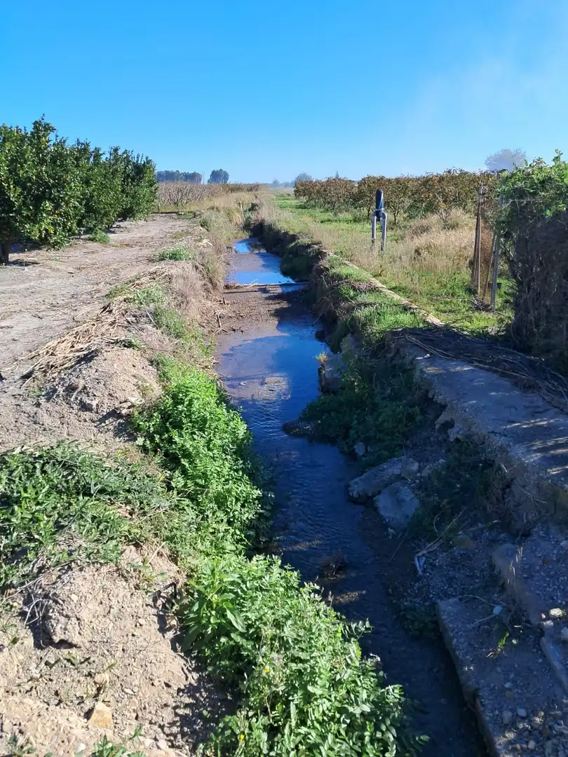 Vista exterior de Finca rústica en venta en Sollana con Trastero y Piscina