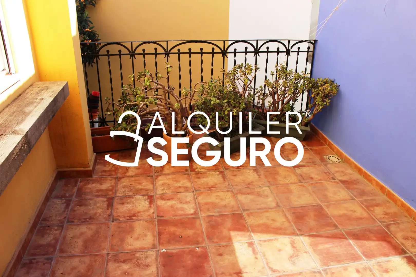 Chalet en alquiler en Vicente Lleo, imagen 15