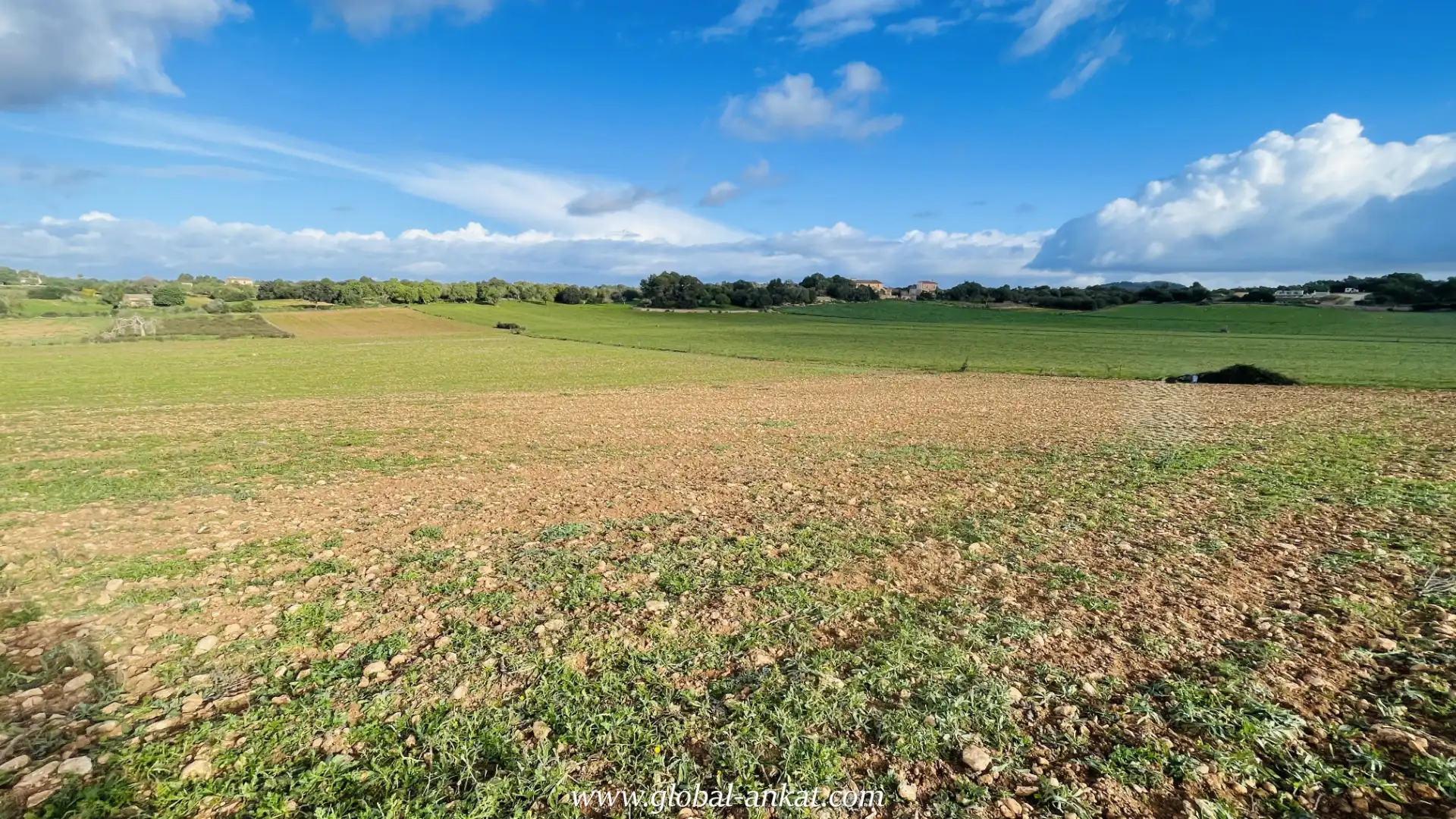 Rural land for sale in Felanitx Poble, imagen 4