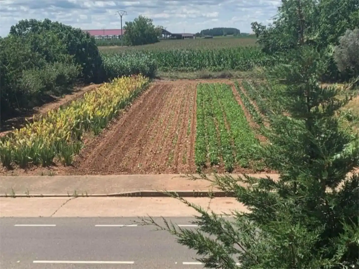Pis en venda en Villadangos del Páramo amb Jardí privat, Parquet i Traster