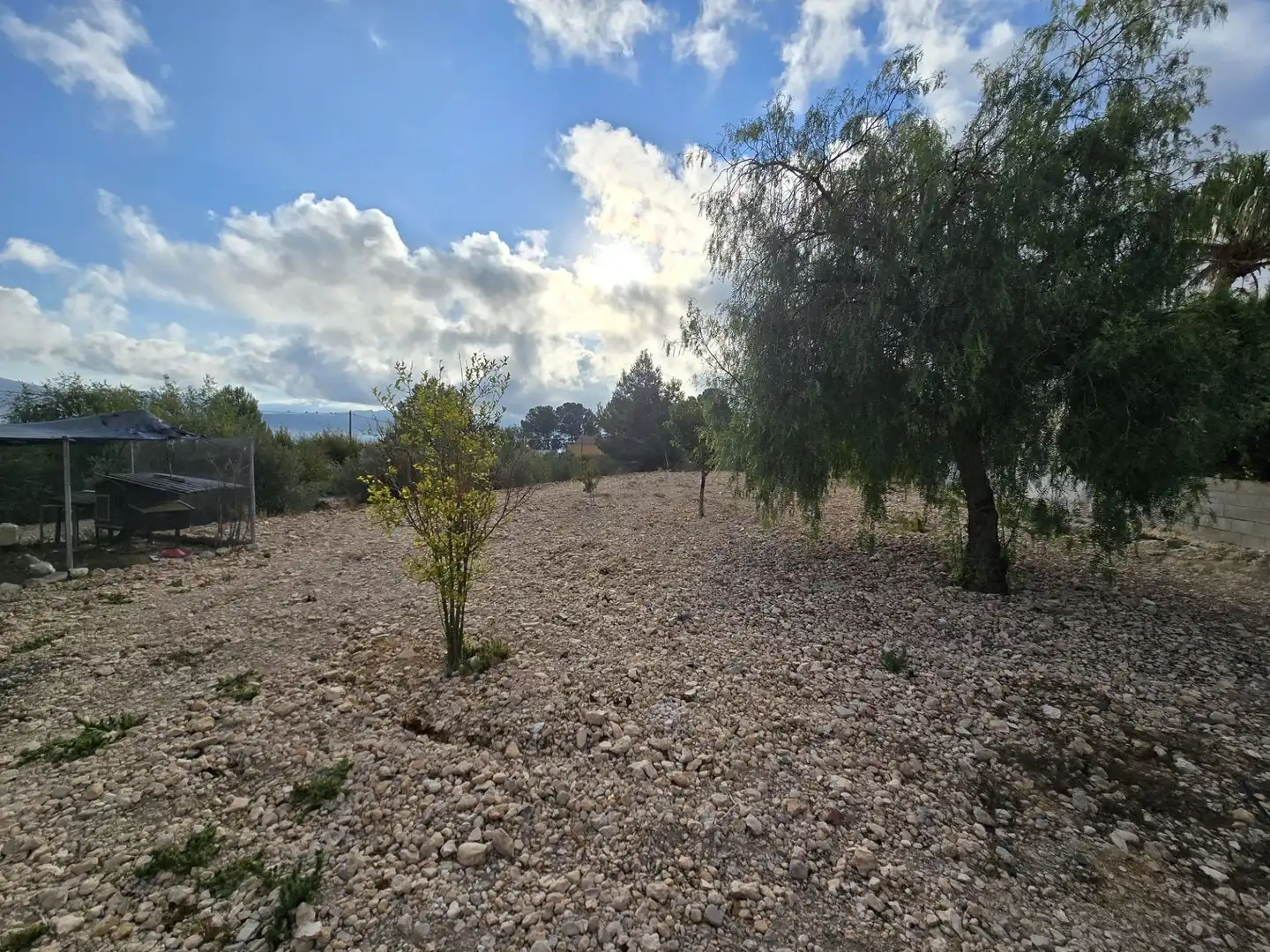 Chalet en venta en Sax, imagen 25