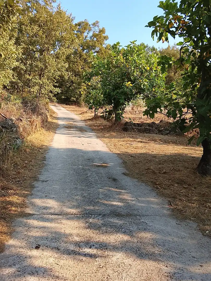 Terreny en venda en Madrigal de la Vera