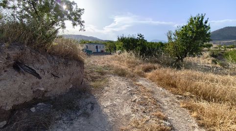 FINCA RUSTICA CON CASA MOVIL