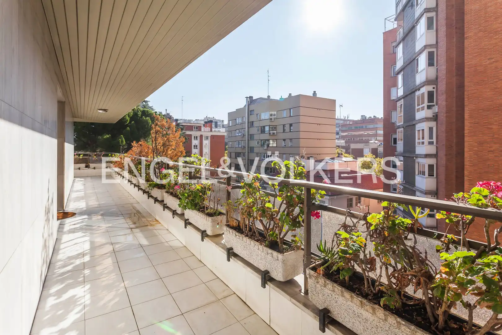 Flat for rent in Nueva España