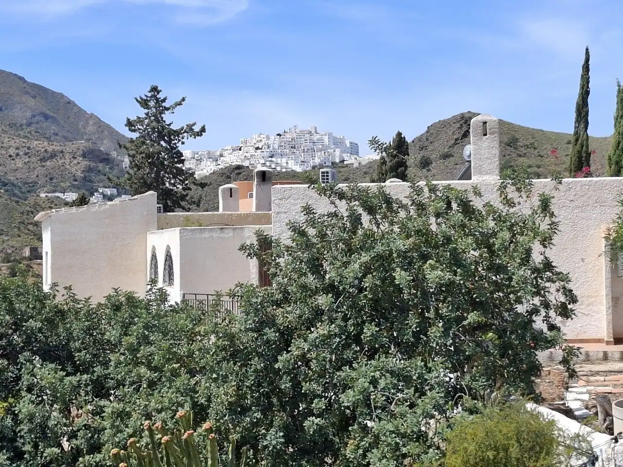 Haus mit Pool zum Verkauf in El Palmeral, imagen 22