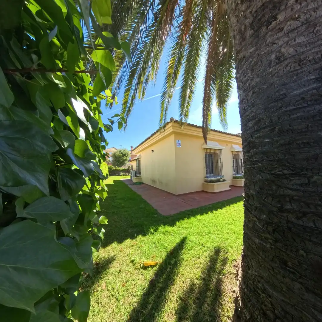 Jardí de Casa o xalet en venda en Chiclana de la Frontera amb Aire condicionat, Jardí privat i Traster