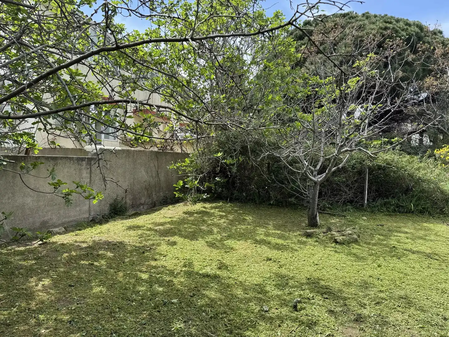 Casa o chalet en venta en Colera con Jardín privado y Terraza