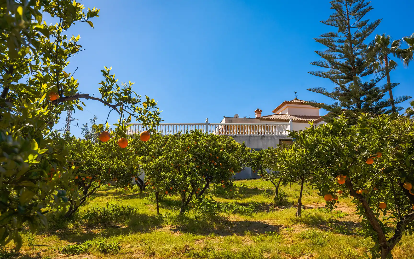 Casa con piscina en venta en Selwo, imagen 27
