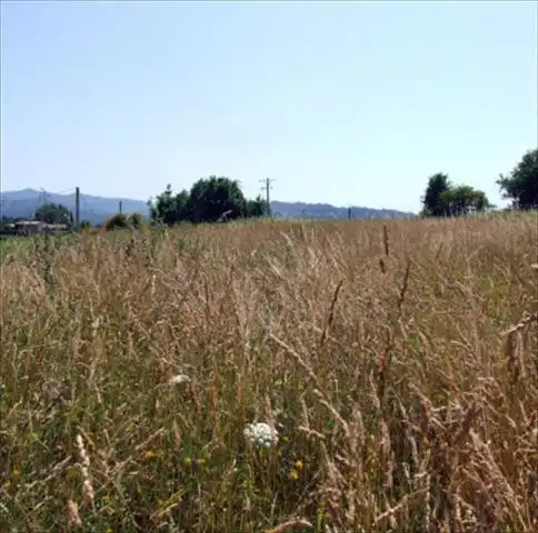 Rural land for sale in Parroquias Rurales, imagen 2