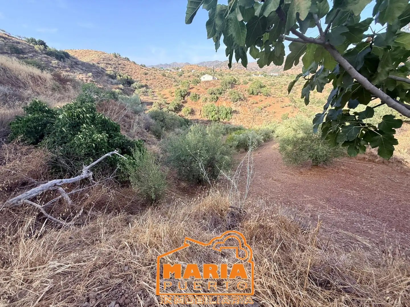 Terreno rustico in vendita a Almogía, imagen 12