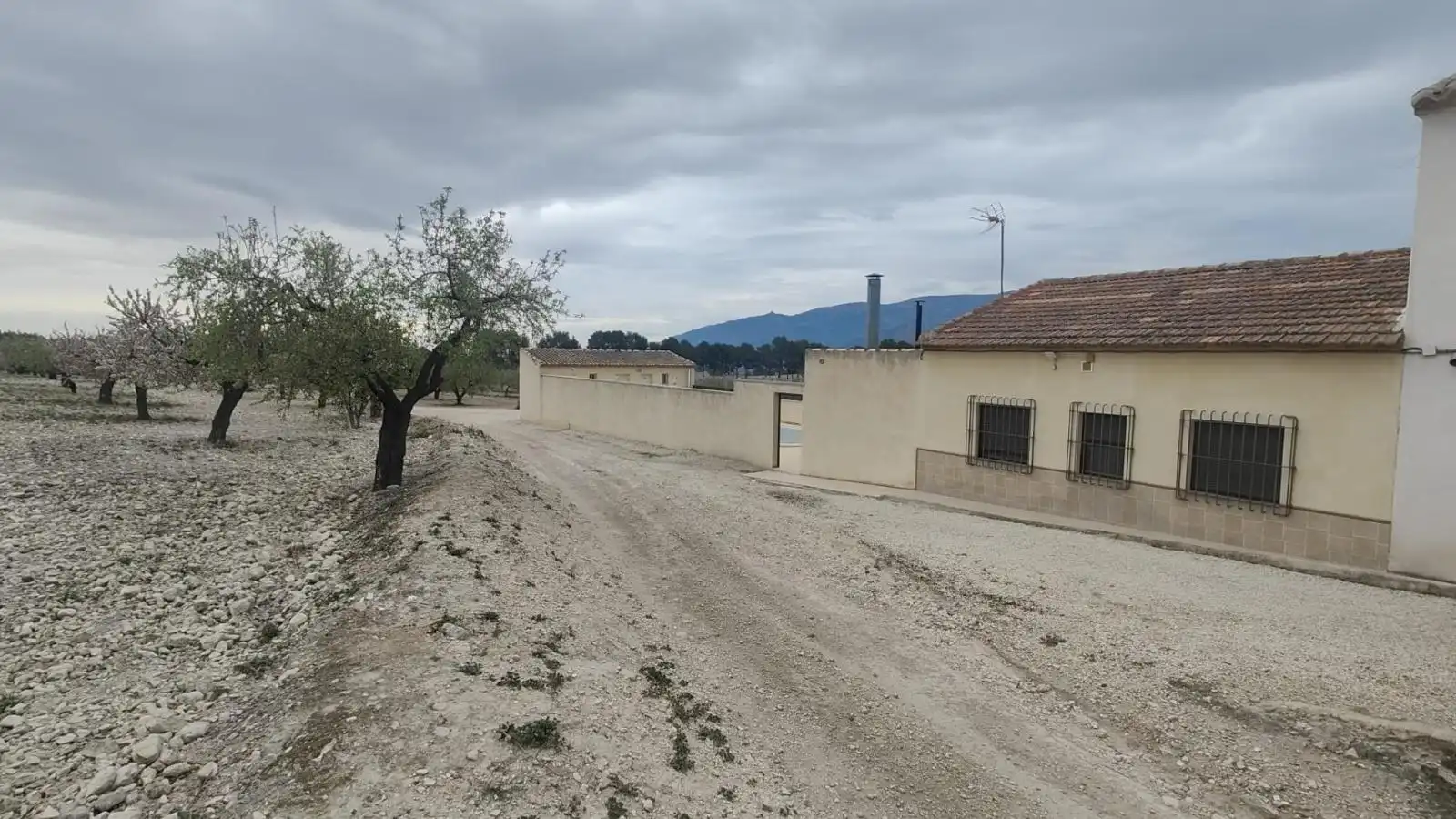 Casa o xalet en venda en Mula amb Terrassa