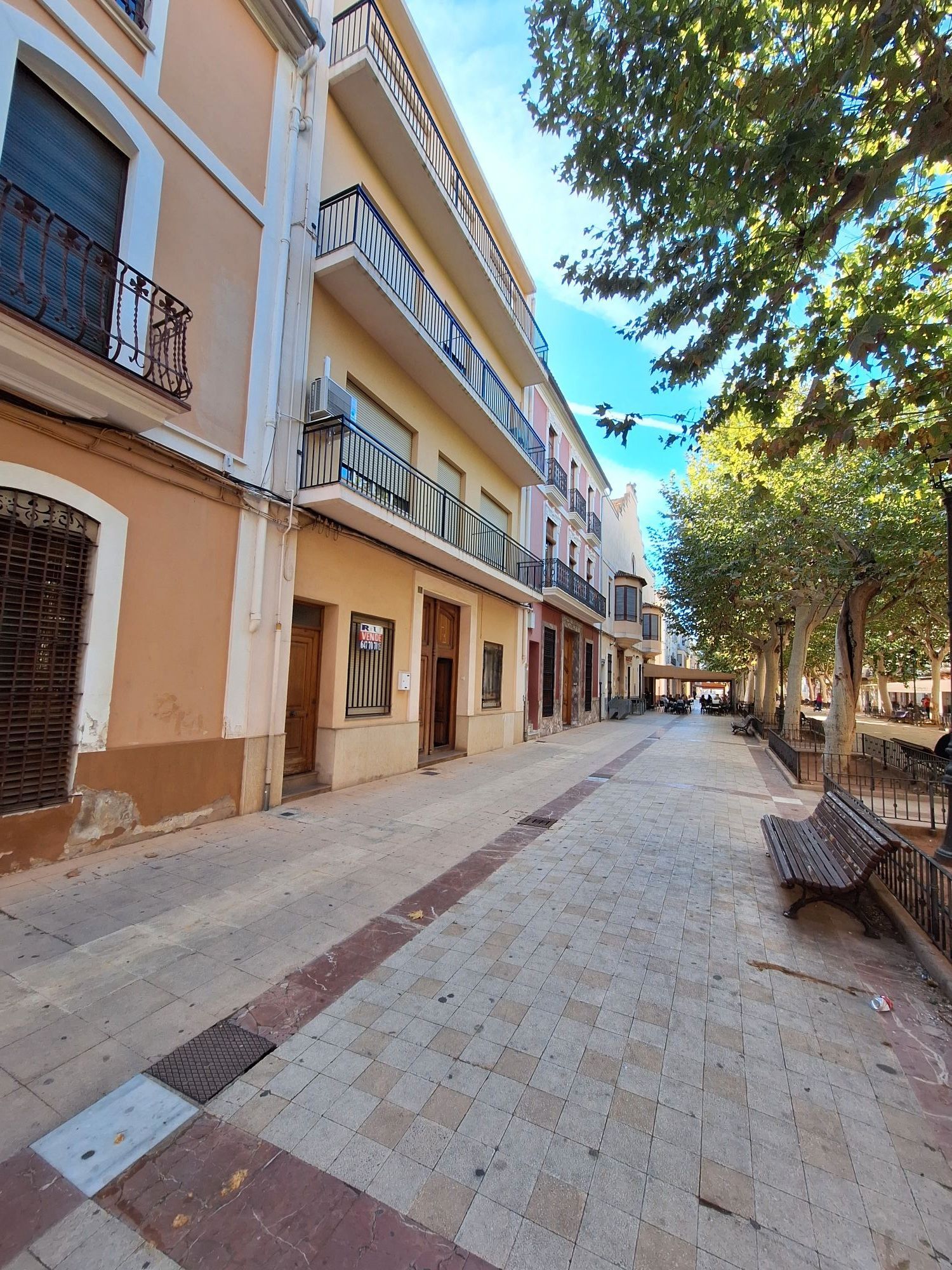 Vista exterior de Finca rústica de lloguer en Carcaixent amb Terrassa