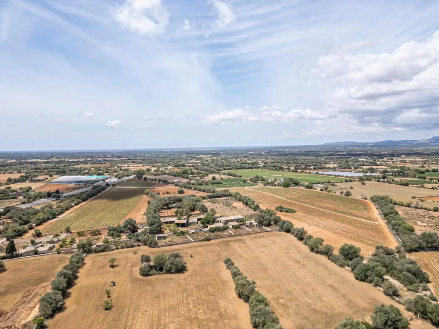 Terreno rustico in vendita a Felanitx Poble, imagen 8