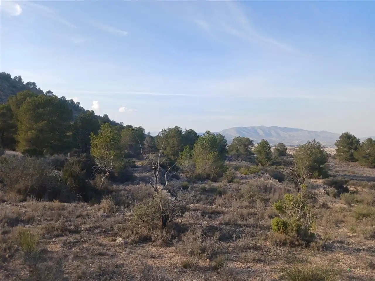 Residential land for sale in Proc. Simplificado, imagen 8