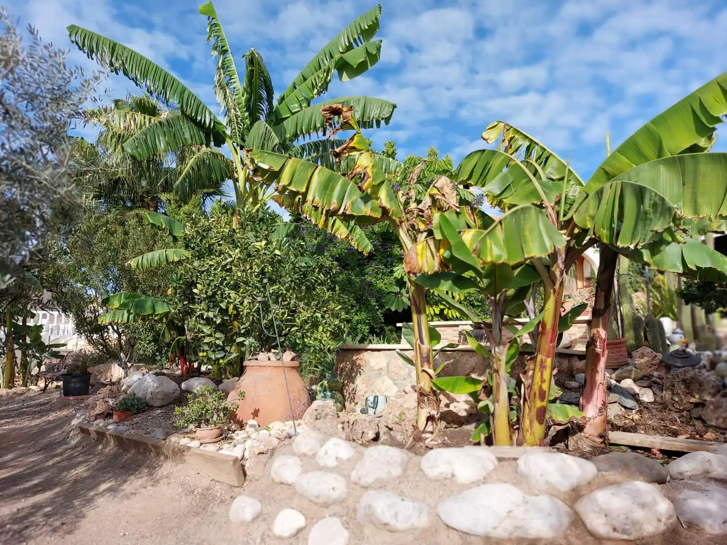 Casa rustica con piscina in vendita a Tébar - Los Arejos, imagen 66