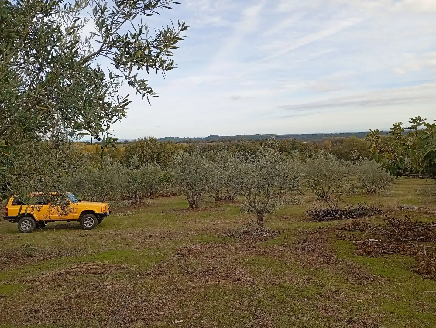 Terreni e lotti in vendita a Villanueva de la Vera, imagen 52