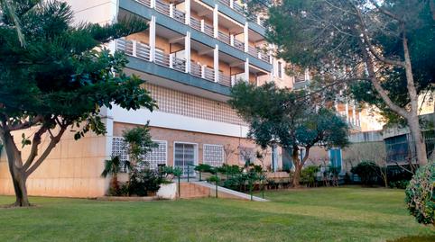 Foto 5 de Estudi de lloguer a Avinguda del Nord, 6, Playa de Gandia, Valencia