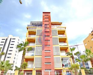 Vista exterior de Planta baixa en venda en Guardamar del Segura amb Aire condicionat, Calefacció i Jardí privat