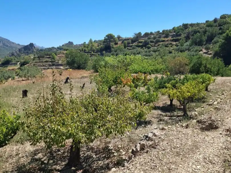 Grundstücke zum Verkauf in Beniardà