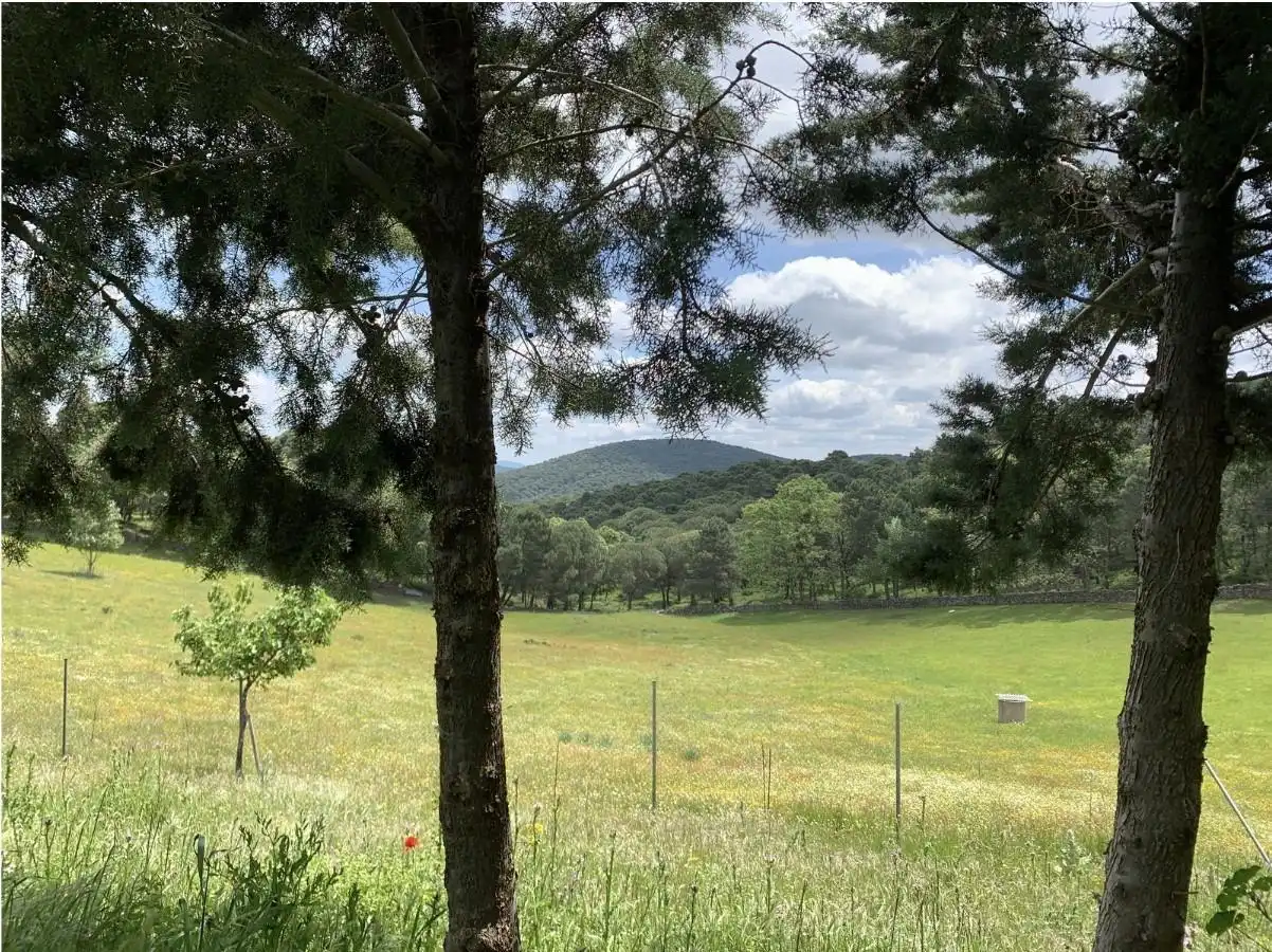 Casa o chalet en venta en Calera de León con Jardín privado, Terraza y Amueblado