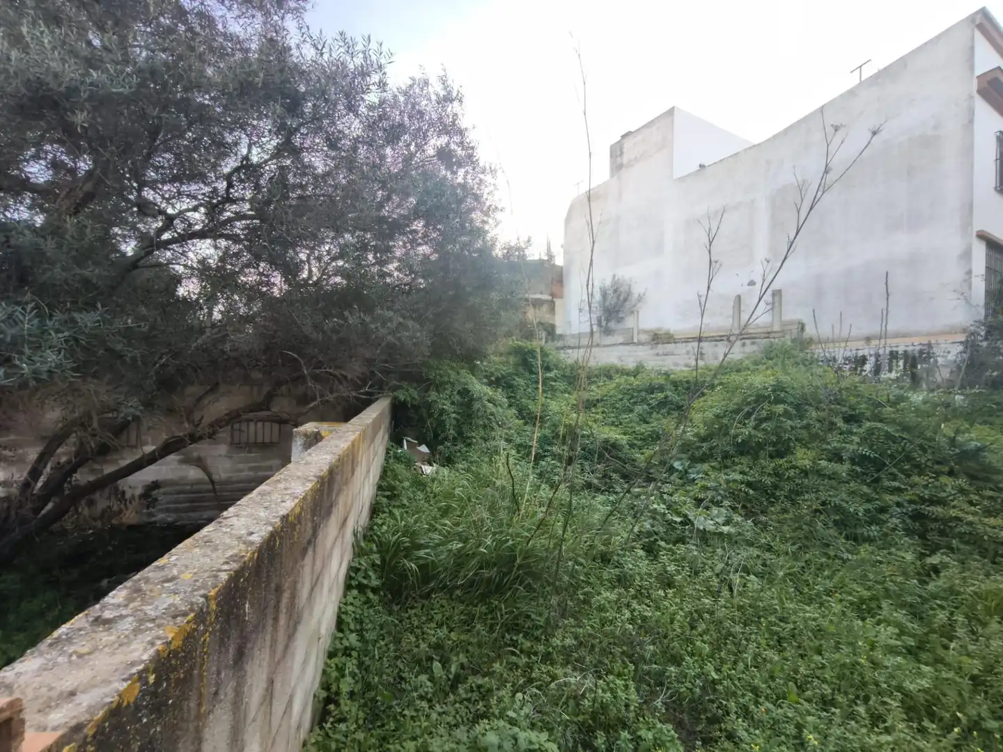 Terreni e lotti in vendita a La Casería - San Carlos, imagen 4