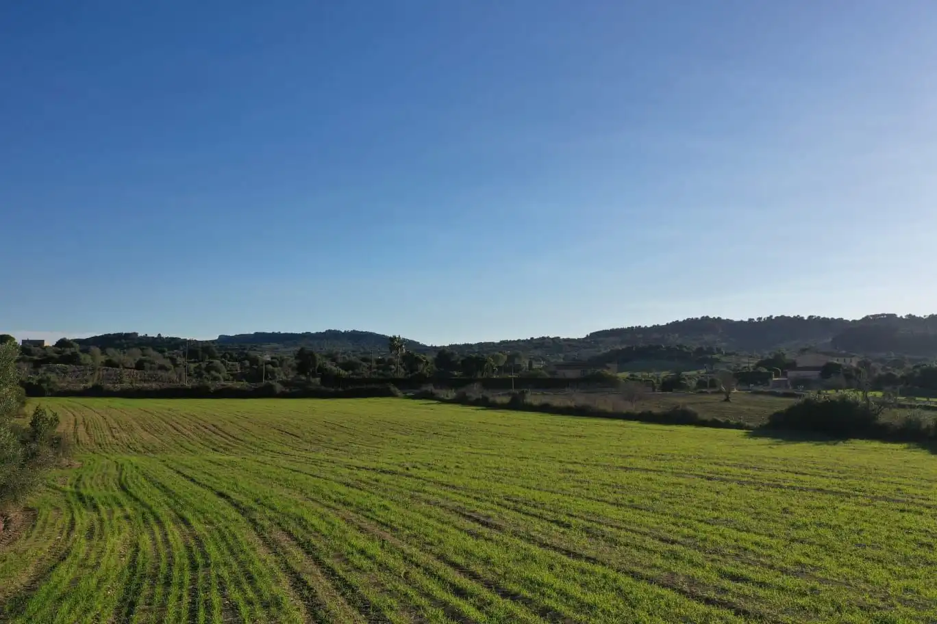Rural land for sale in Cas Concos - Santanyí, imagen 8