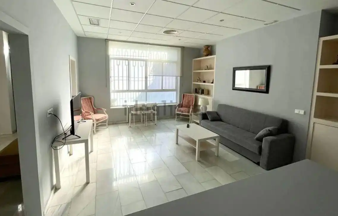 Sala de estar de Planta baja de alquiler en Sevilla con Aire acondicionado y Amueblado