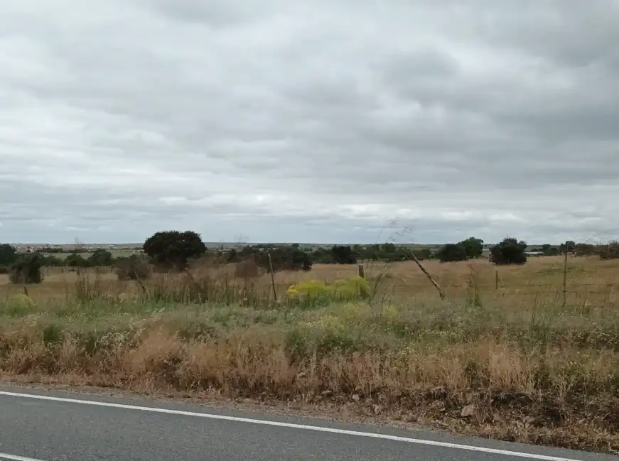 Terreni e lotti in vendita a PALAZUELOS-SAN ILDEFONSO 26, imagen 11
