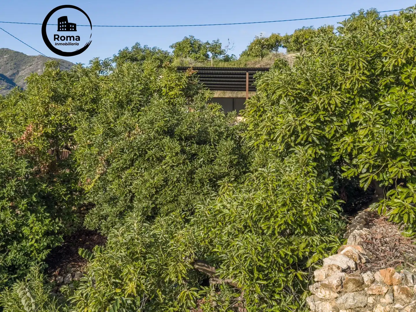 Vista exterior de Finca rústica en venda en Los Guájares amb Terrassa i Traster