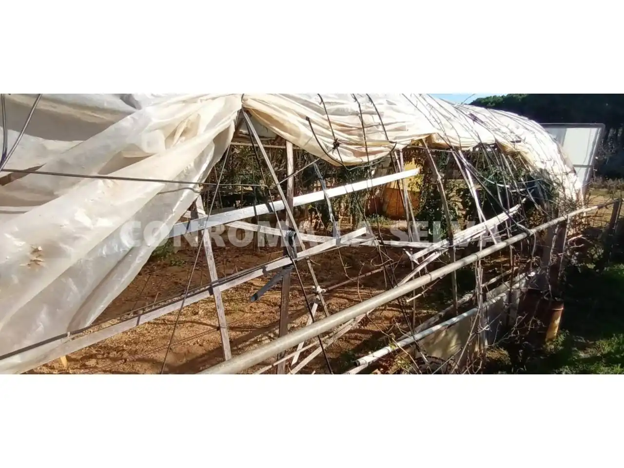 Rural land for sale in Malgrat de Mar, imagen 7