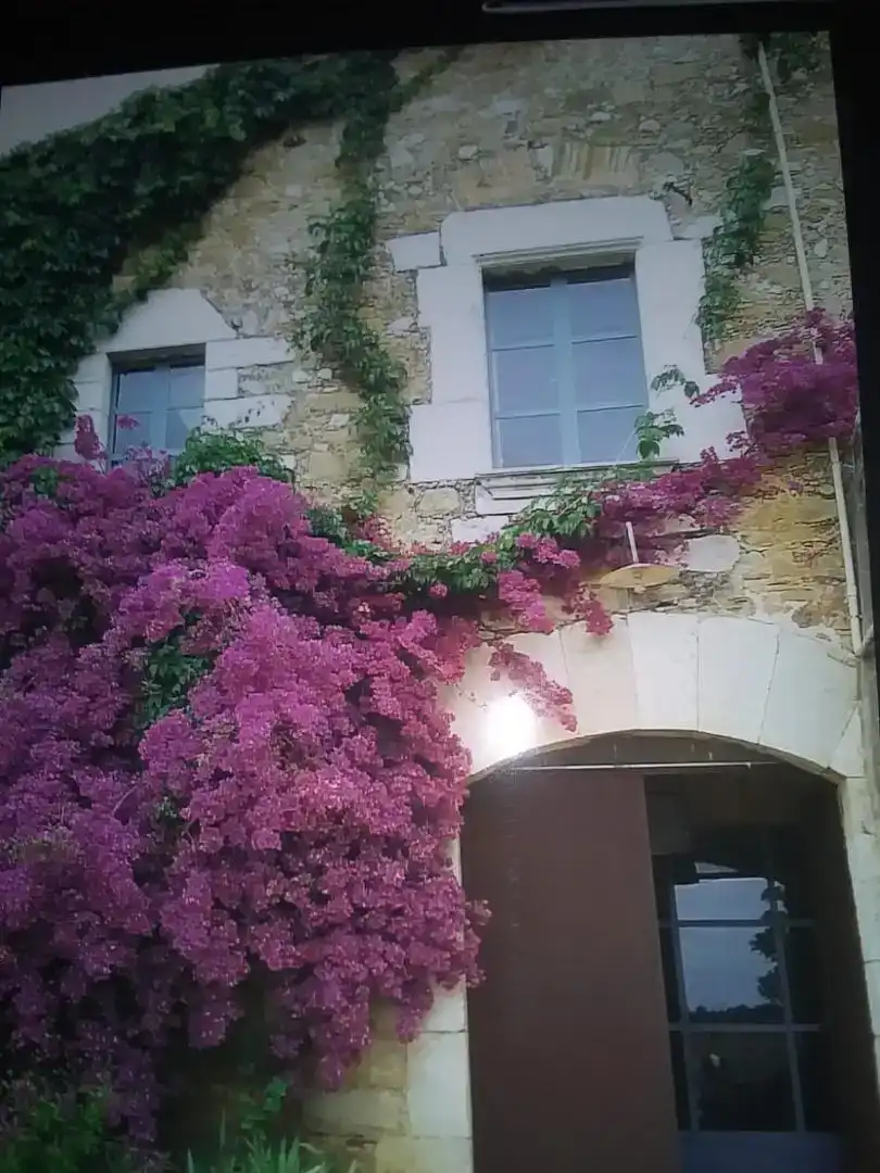 Garden of Country homes for rent in Borrassà  with Furnished, Oven and Washing machine