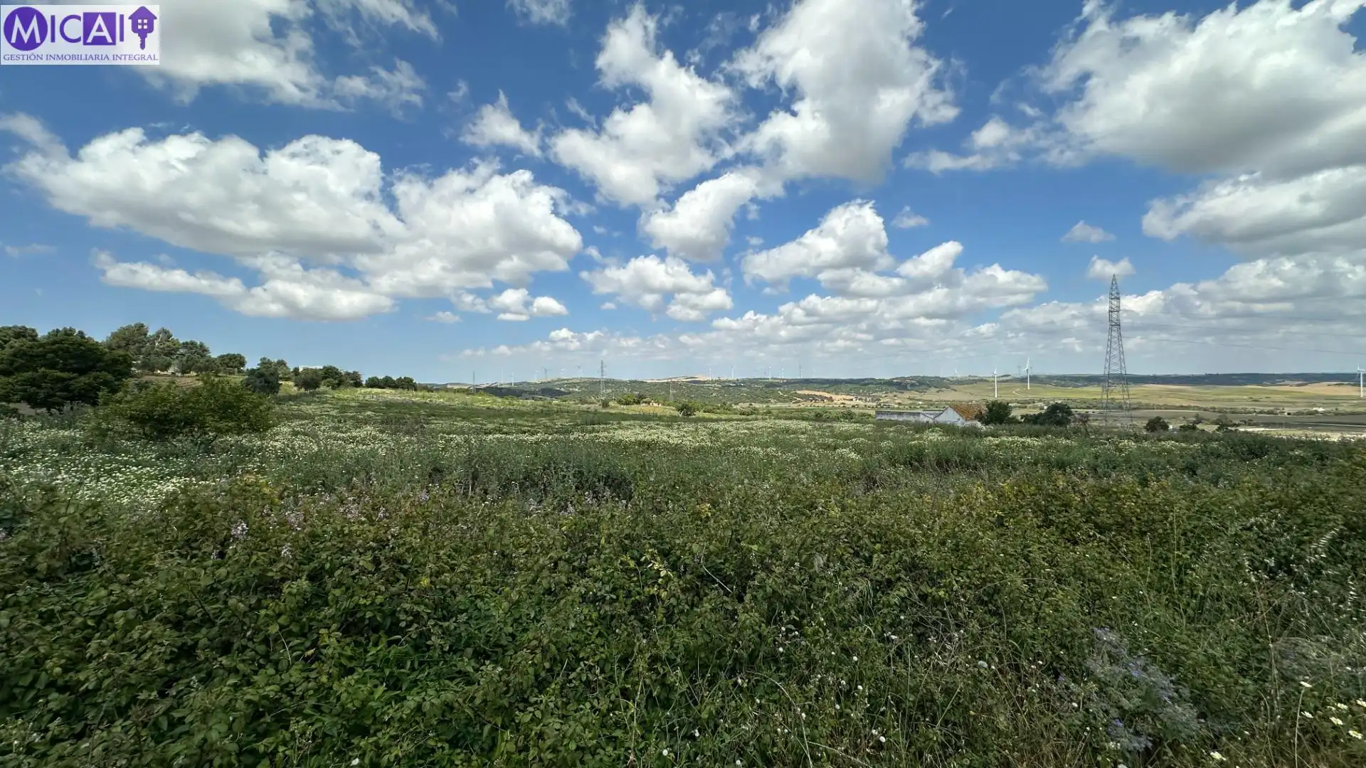 Terreny rústic en venda a Medina Sidonia