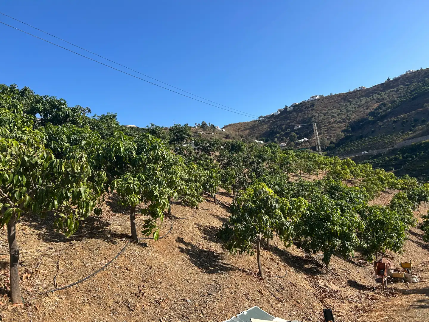 Terreno en venta en Iznate