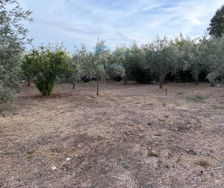 Terreno rústico en venta en Jarandilla de la Vera, imagen 22