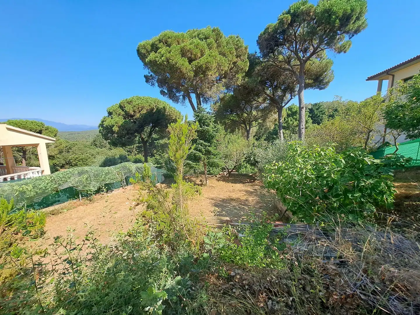 Residential land for sale in Mas Mora - Sant Daniel, imagen 5