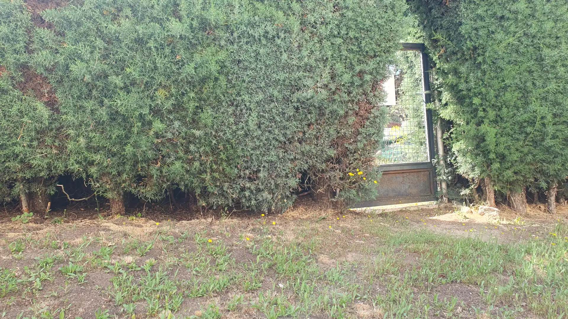 Casa o xalet en venda en Valdemorillo amb Calefacció, Jardí privat i Terrassa