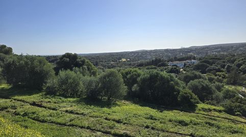 Terreno en venta en la prestigiosa reserva de Sotogrande, imatge 3