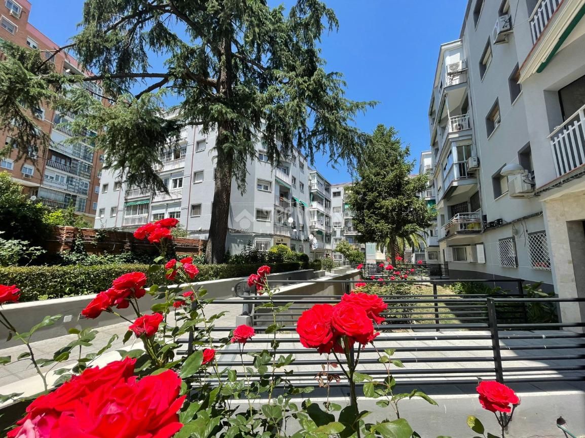 Vista exterior de Piso en venta en  Madrid Capital con Calefacción, Parquet y Terraza