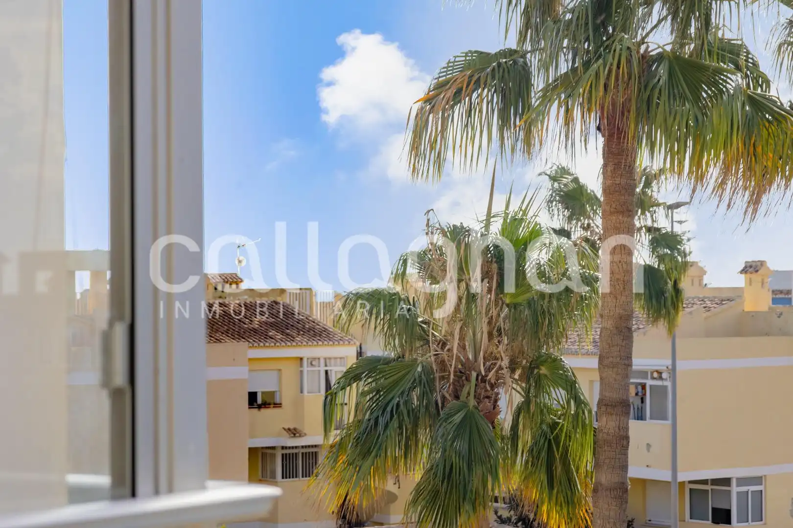 Flat with terrace for sale in Avenida de Mota, imagen 3