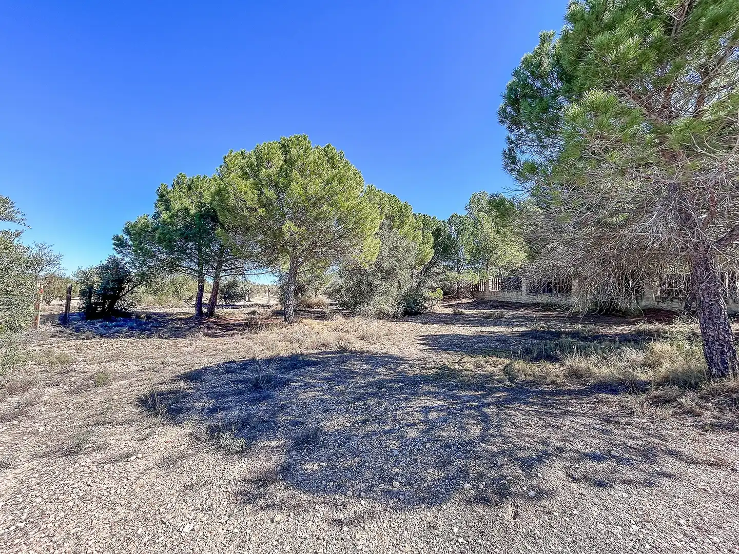 Villa à vendre à Biar, imagen 48