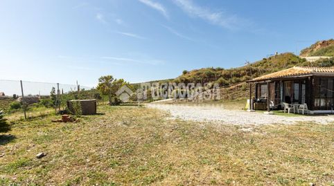 Foto 4 de Finca rústica en venda a Iznate, Málaga