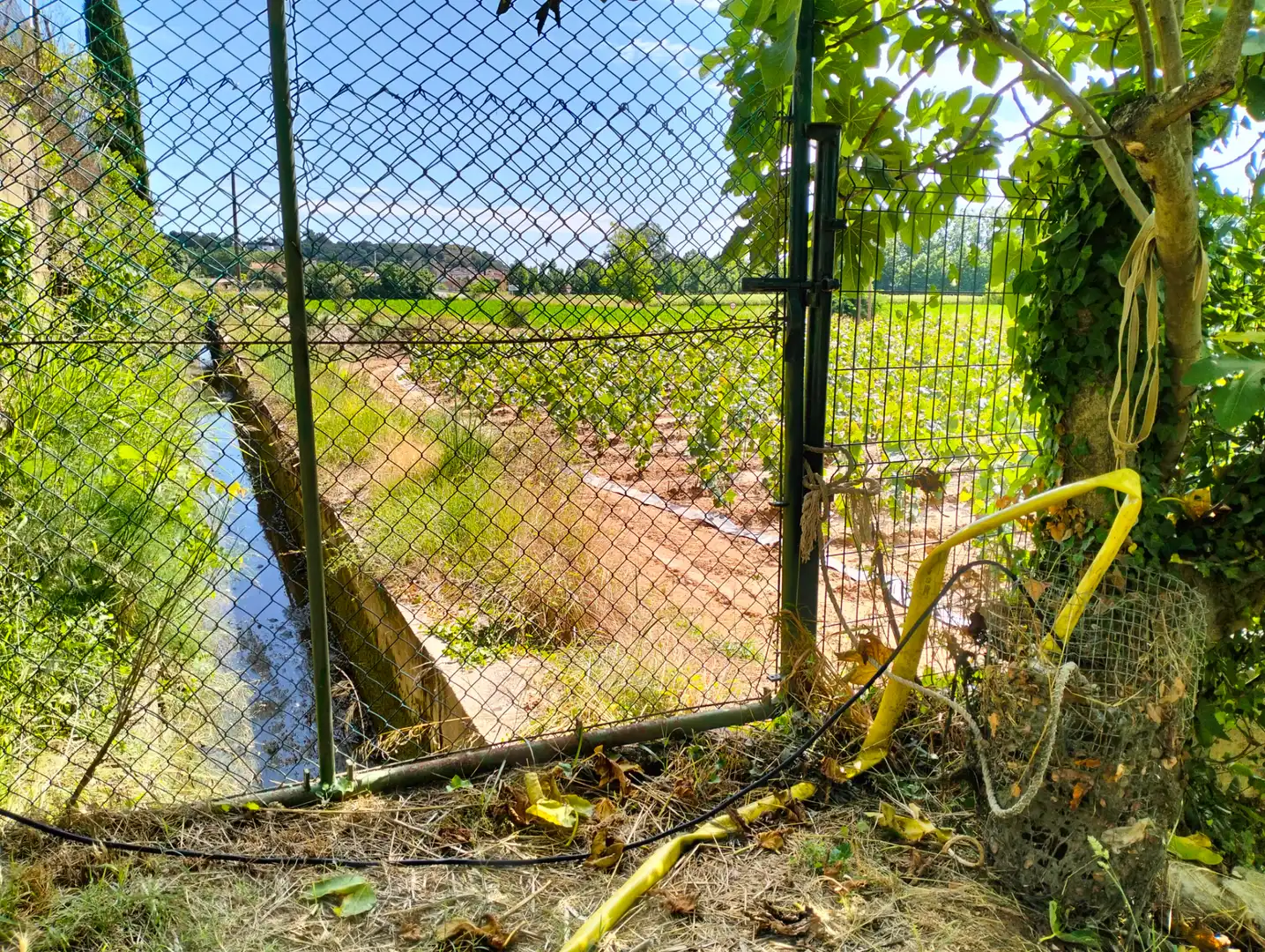 Casa o xalet en venda en Cervià de Ter amb Jardí privat, Terrassa i Balcó